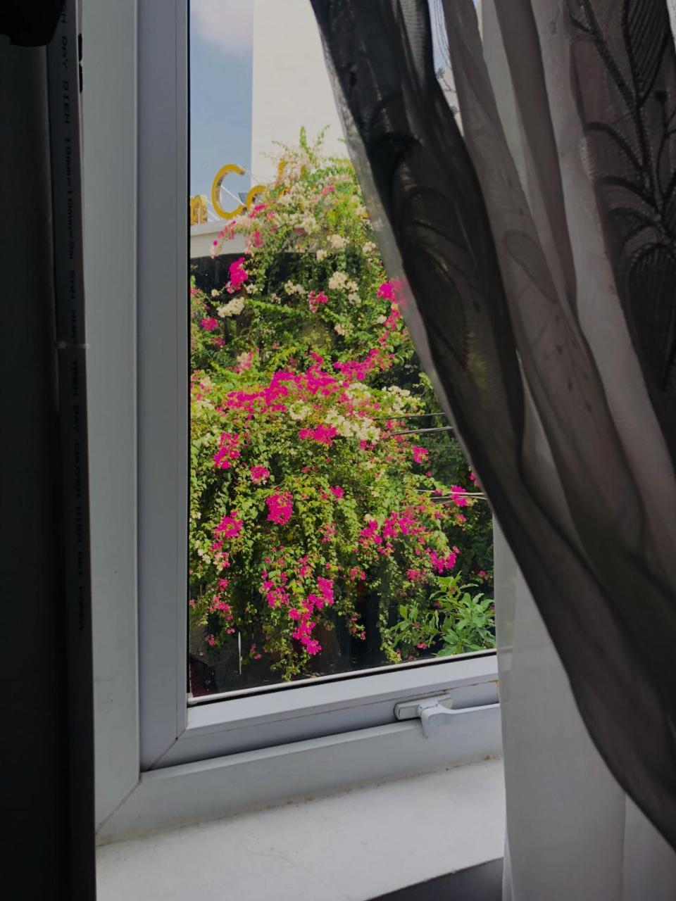 דה נאנג Tuong Van Homestay מראה חיצוני תמונה